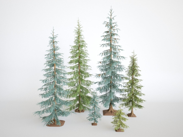 Blueberry Pinetree Forest