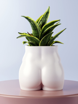 body-flower-vase-minimalist-vase-decorative-flower-pot-3d-model-758c699e53