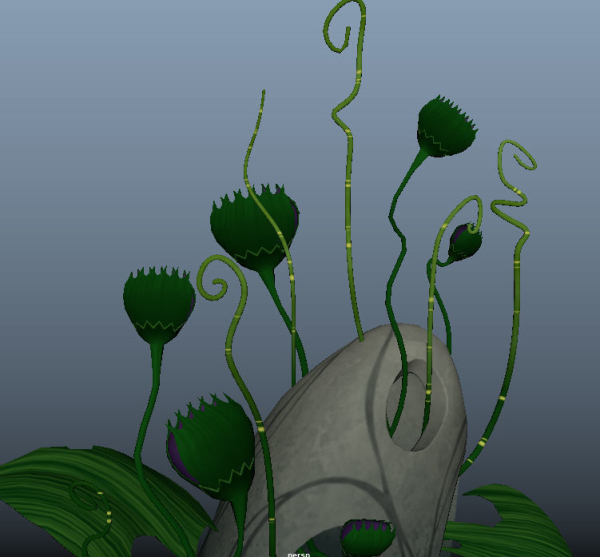 bog flowers