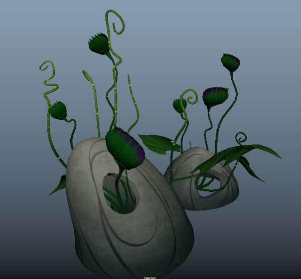 bog flowers