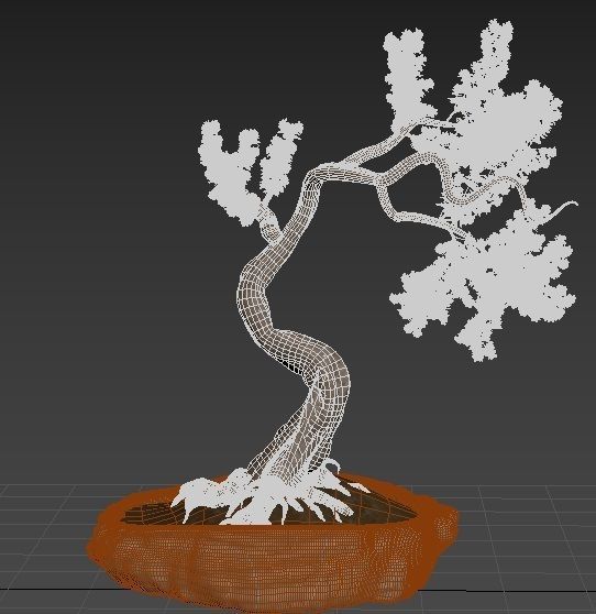 Bonsai plant 01