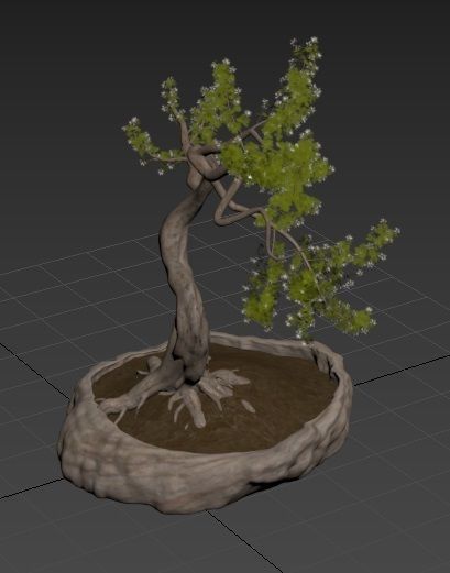 Bonsai plant 01