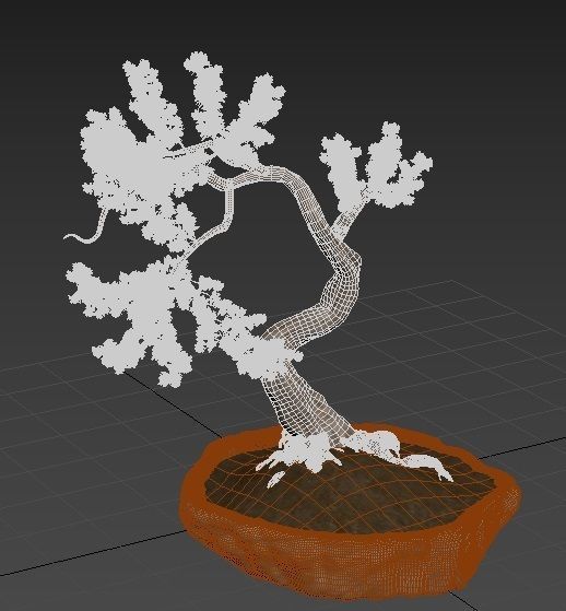 Bonsai plant 01