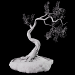 Bonsai plant 01