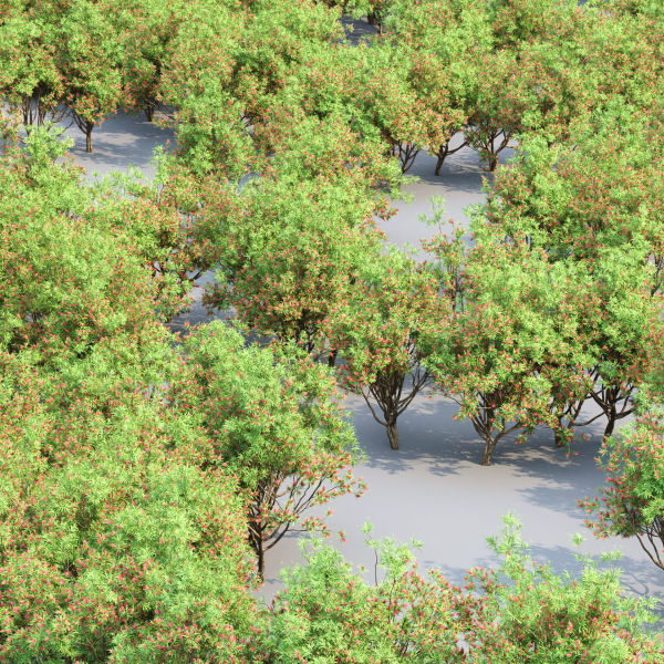 Bottlebrush bush collection vol 48-Blender
