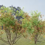 Bottlebrush bush collection vol 48-Blender