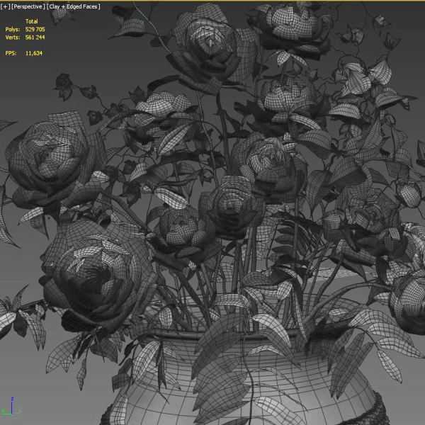 Bouquet