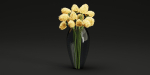 bouquet collection vol 28-Blender