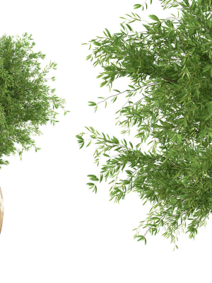 Bouquet - Green plant 01