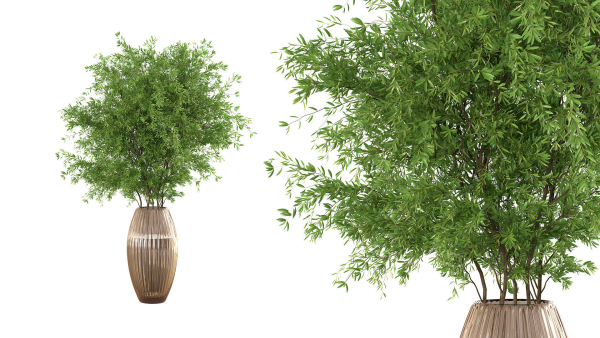Bouquet - Green plant 01