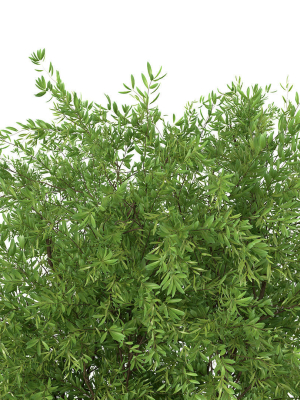 bouquet-green-plant-01-3d-model-5592f58db3
