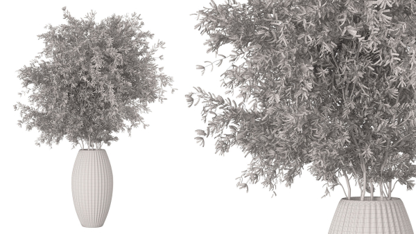 Bouquet - Green plant 01