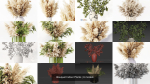Bouquet Indoor Plants