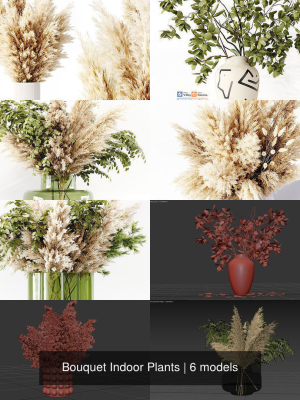 Bouquet Indoor Plants