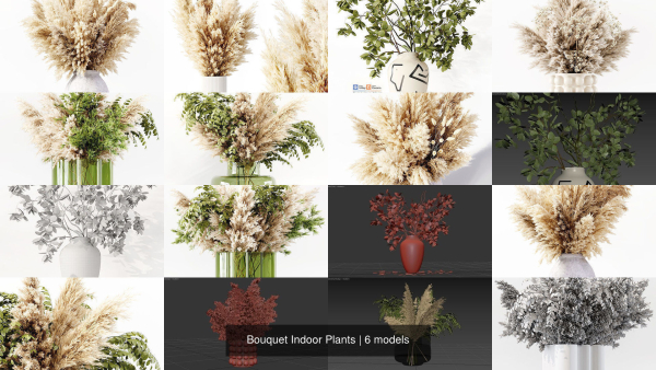 Bouquet Indoor Plants
