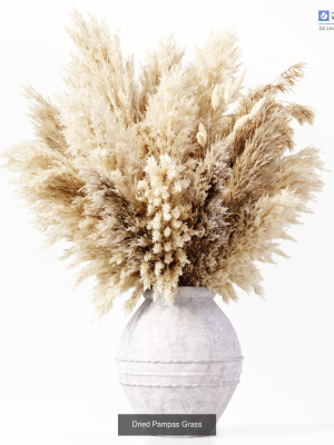 bouquet-indoor-plants-3d-model-bf71673a58