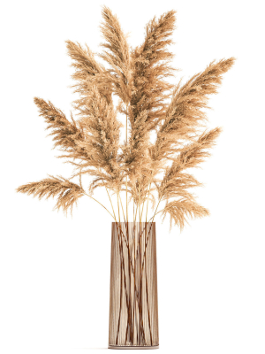 bouquet-of-dried-reeds-in-a-vase-121-3d-model-max-obj-fbx