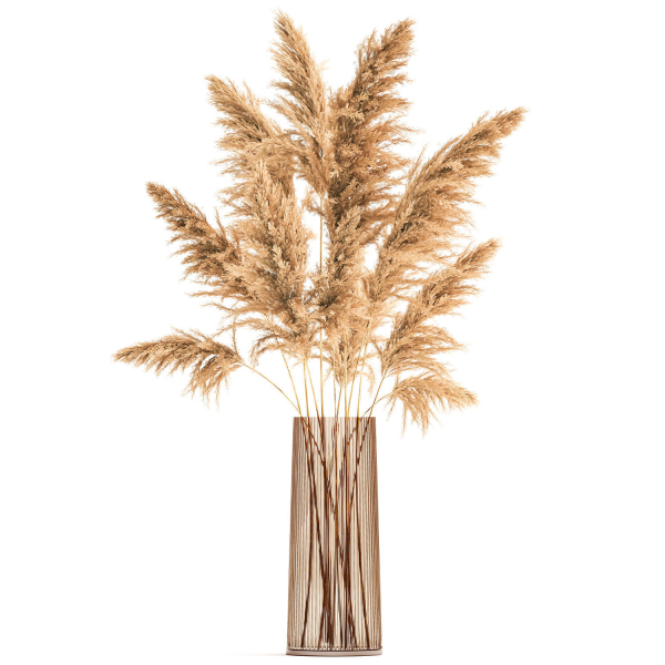 Bouquet of dried reeds in a Vase 121