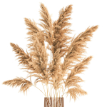 Bouquet of dried reeds in a Vase 121