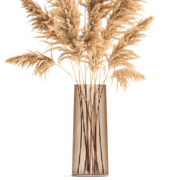 Bouquet of dried reeds in a Vase 121