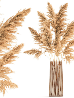 Bouquet of dried reeds in a Vase 121