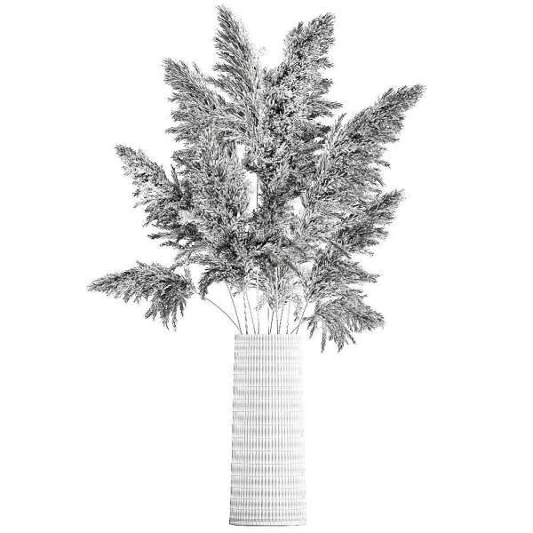 Bouquet of dried reeds in a Vase 121