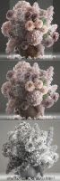 Bouquet of flowers in a basket 4