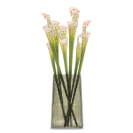 Bouquet of Sarracenia flowers in a vase 180