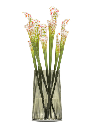 bouquet-of-sarracenia-flowers-in-a-vase-180-3d-model-max-obj-fbx