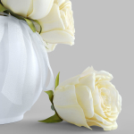 Bouquet of white roses
