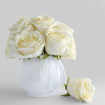 Bouquet of white roses