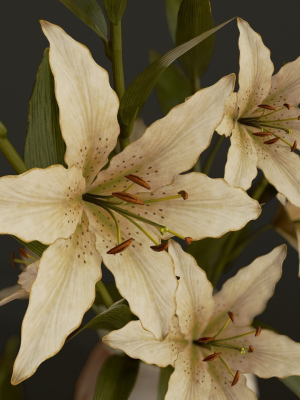 Bouquet with Lilies - PBR Game Ready
