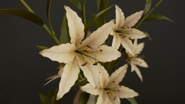 Bouquet with Lilies - PBR Game Ready