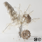 Bouquet with lunaria pampas grass and hydragea