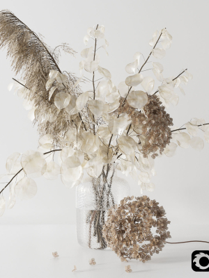 Bouquet with lunaria pampas grass and hydragea