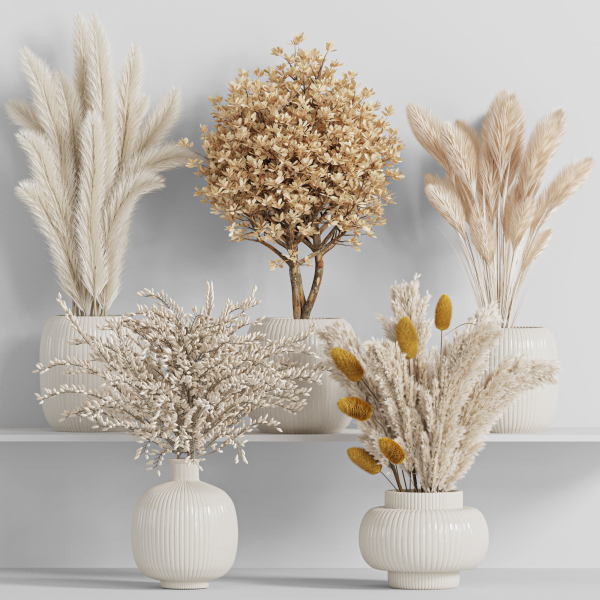 bouqute10 set of vases with dried grasses