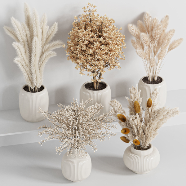 bouqute10 set of vases with dried grasses