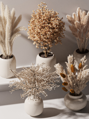 bouqute10 set of vases with dried grasses