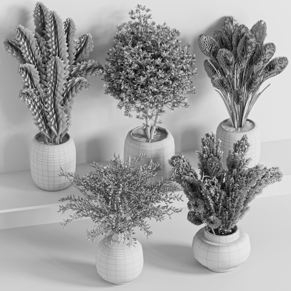bouqute10 set of vases with dried grasses