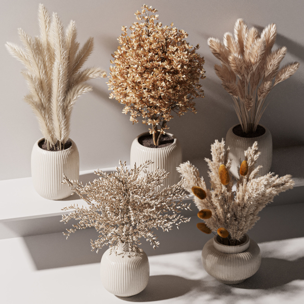 bouqute10 set of vases with dried grasses