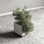 Box pot plant and tree shrub bush indoor plant set