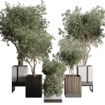 Box pot plant and tree shrub bush indoor plant set