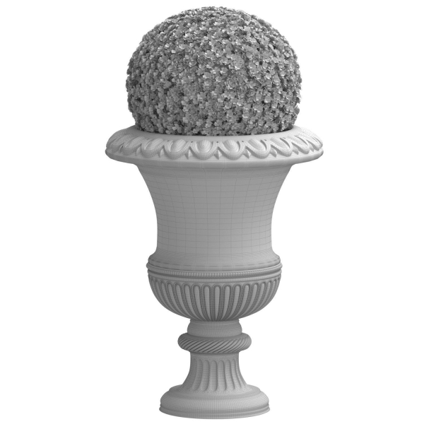 Boxwood in a classical vase for facade decoration