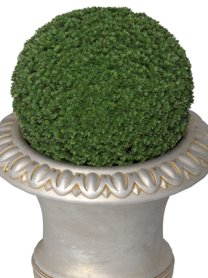 boxwood-in-a-classical-vase-for-facade-decoration-3d-model-afc448dd45
