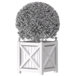 Boxwood in a garden planter Front Entrance Tree