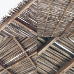 Branch thin thick decor n1
