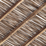 Branch thin thick decor n1