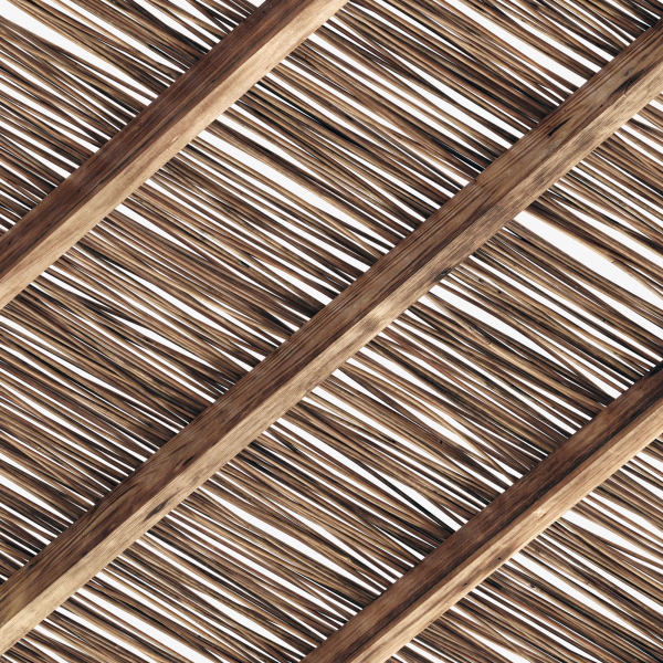 Branch thin thick decor n1