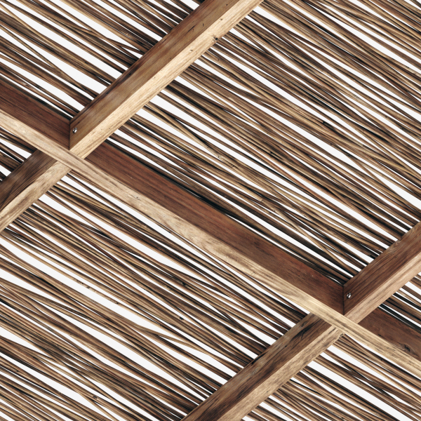 Branch thin thick decor n1
