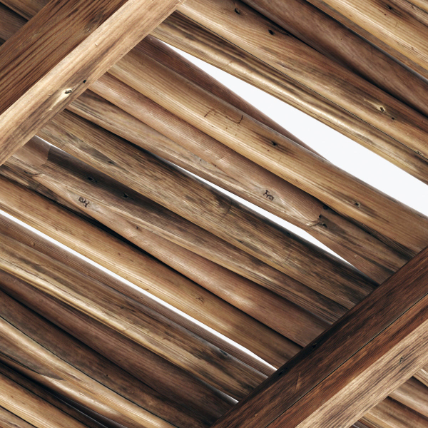 Branch thin thick decor n1